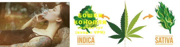 ГАЛЛЮЦИНОГЕННЫЕ ГРИБЫ Вязьма